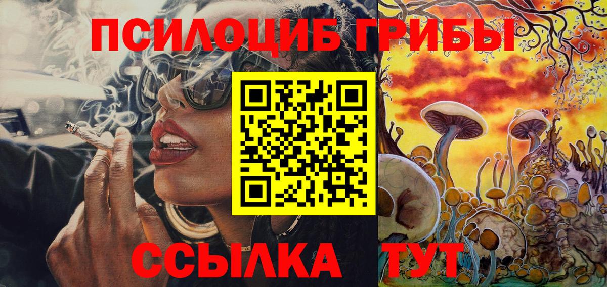Псилоцибиновые грибы Psilocybine cubensis Холмск