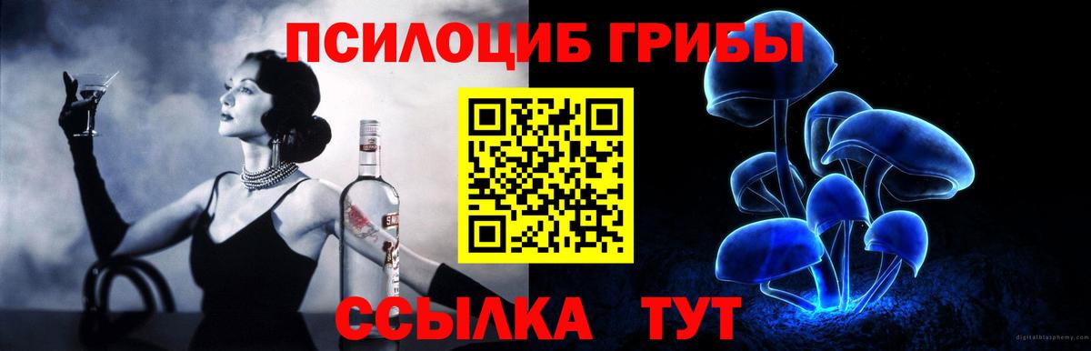 Холмск  Галлюциногенные грибы Cubensis  Вход с VPN 